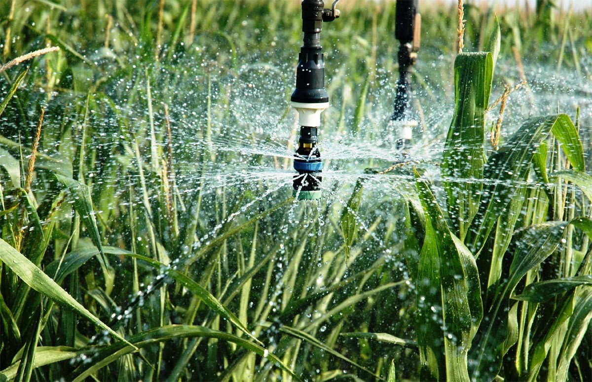 Dernière affaire concernant Système d'irrigation intelligent de pelouse urbaine